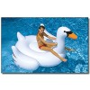 Giant Swan Rideable Pool Float